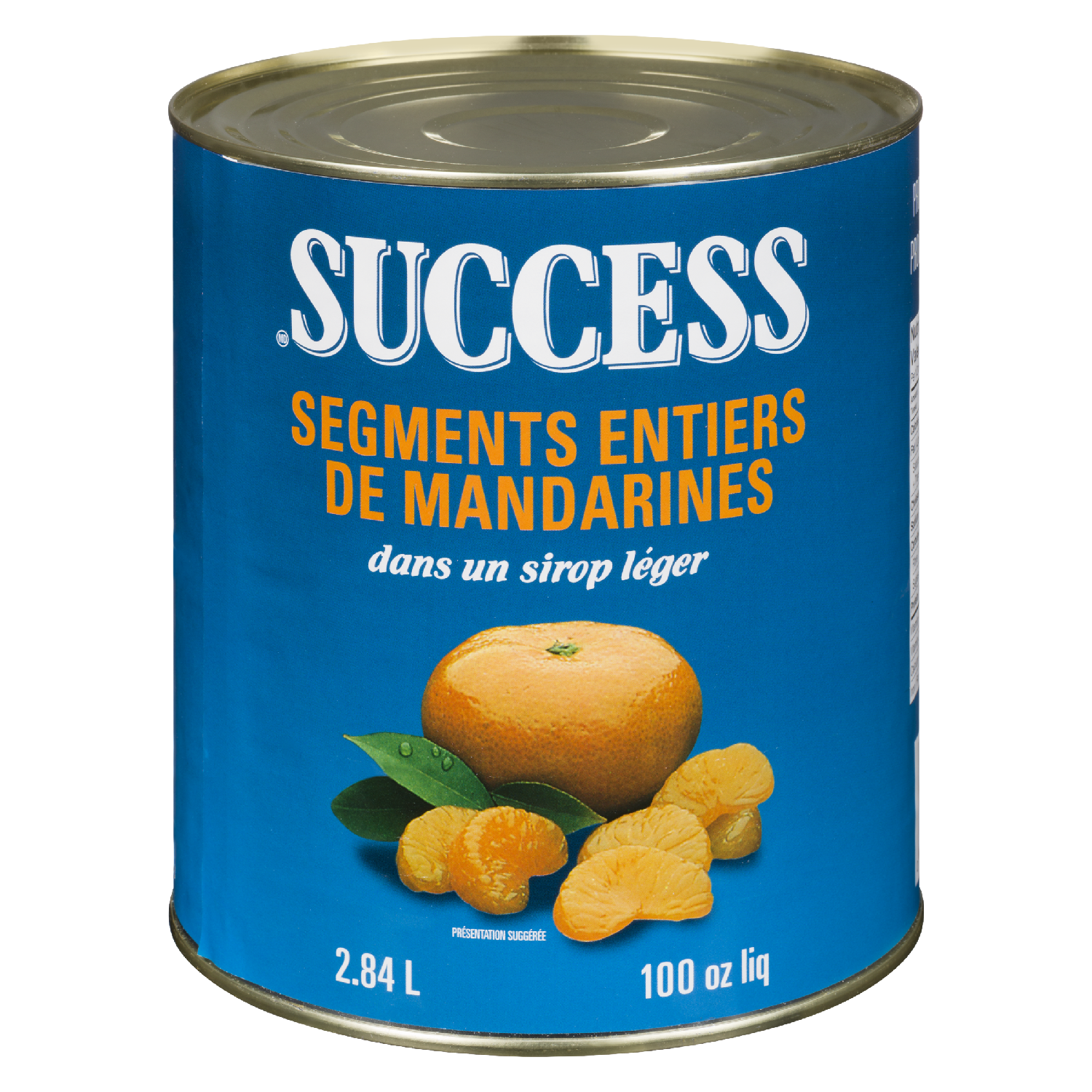Whole Mandarin Orange Segments 2.84 L