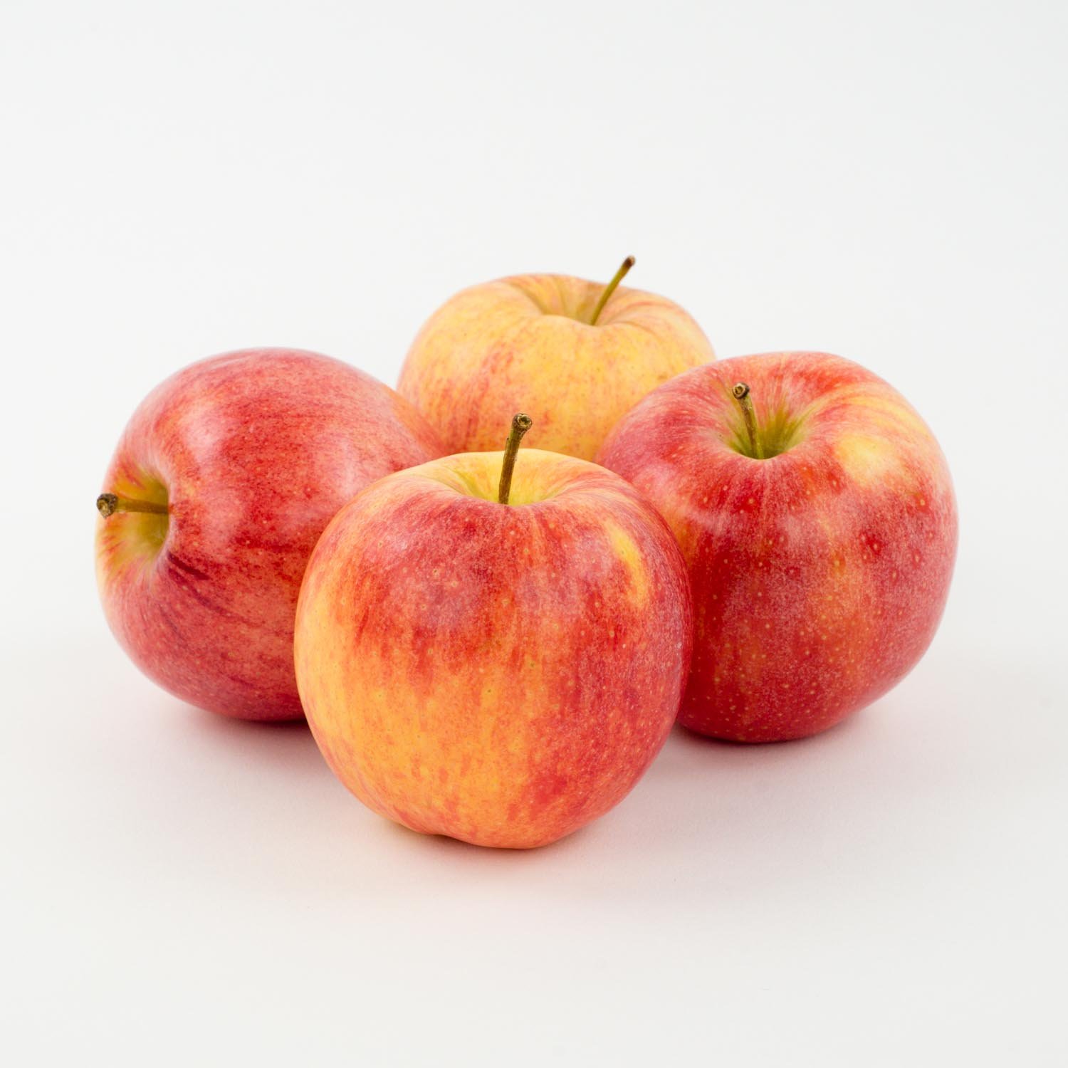 Gala Apple