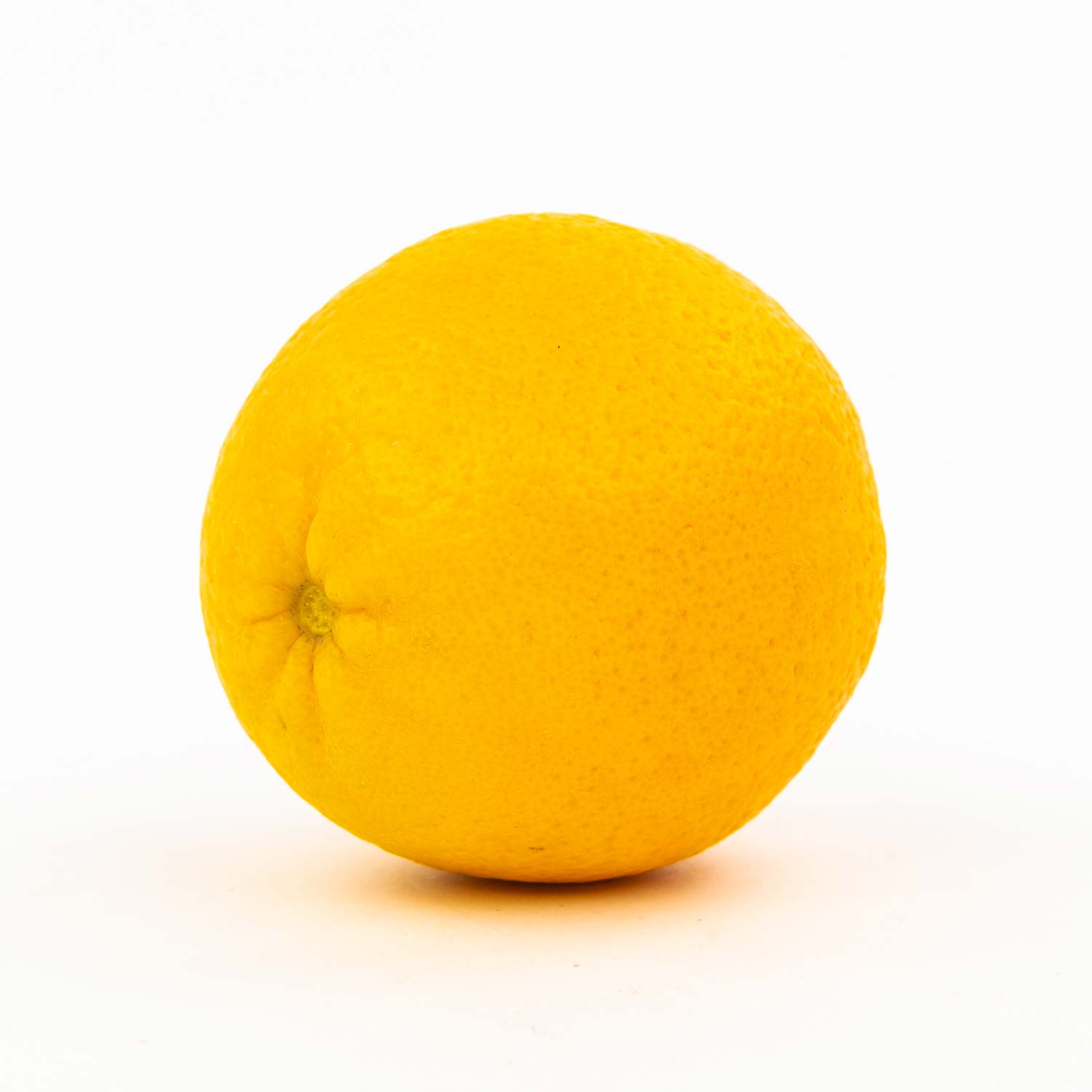 Navel Orange
