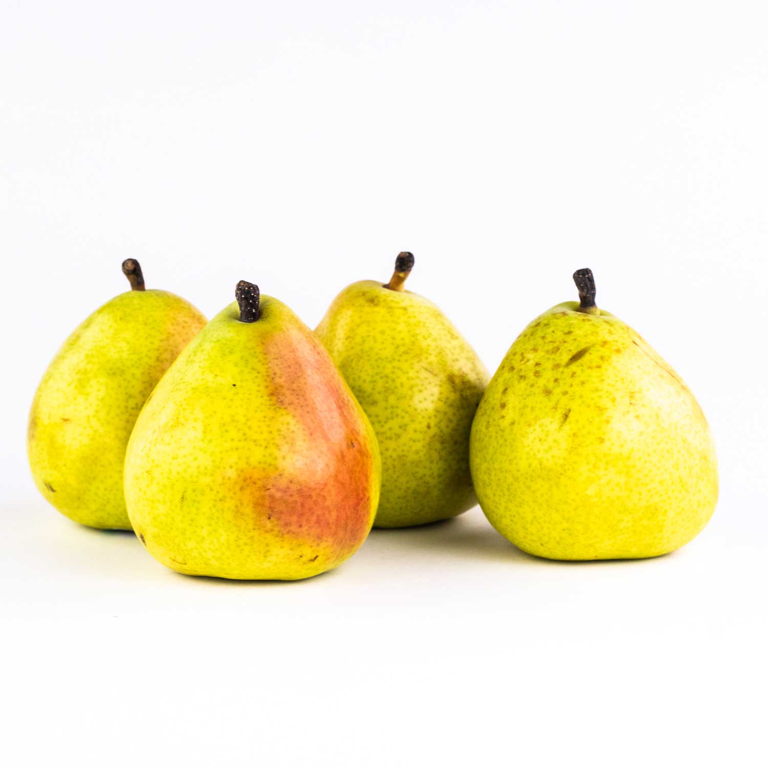 Anjou Pear