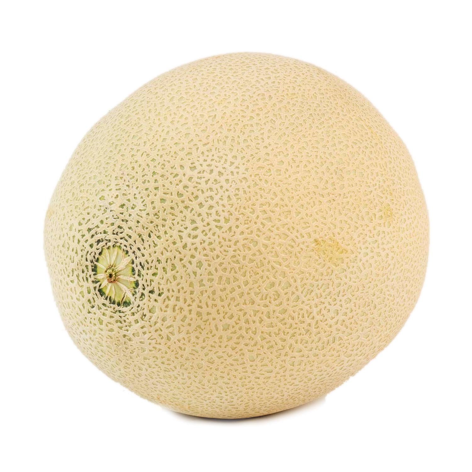 Cantaloupe