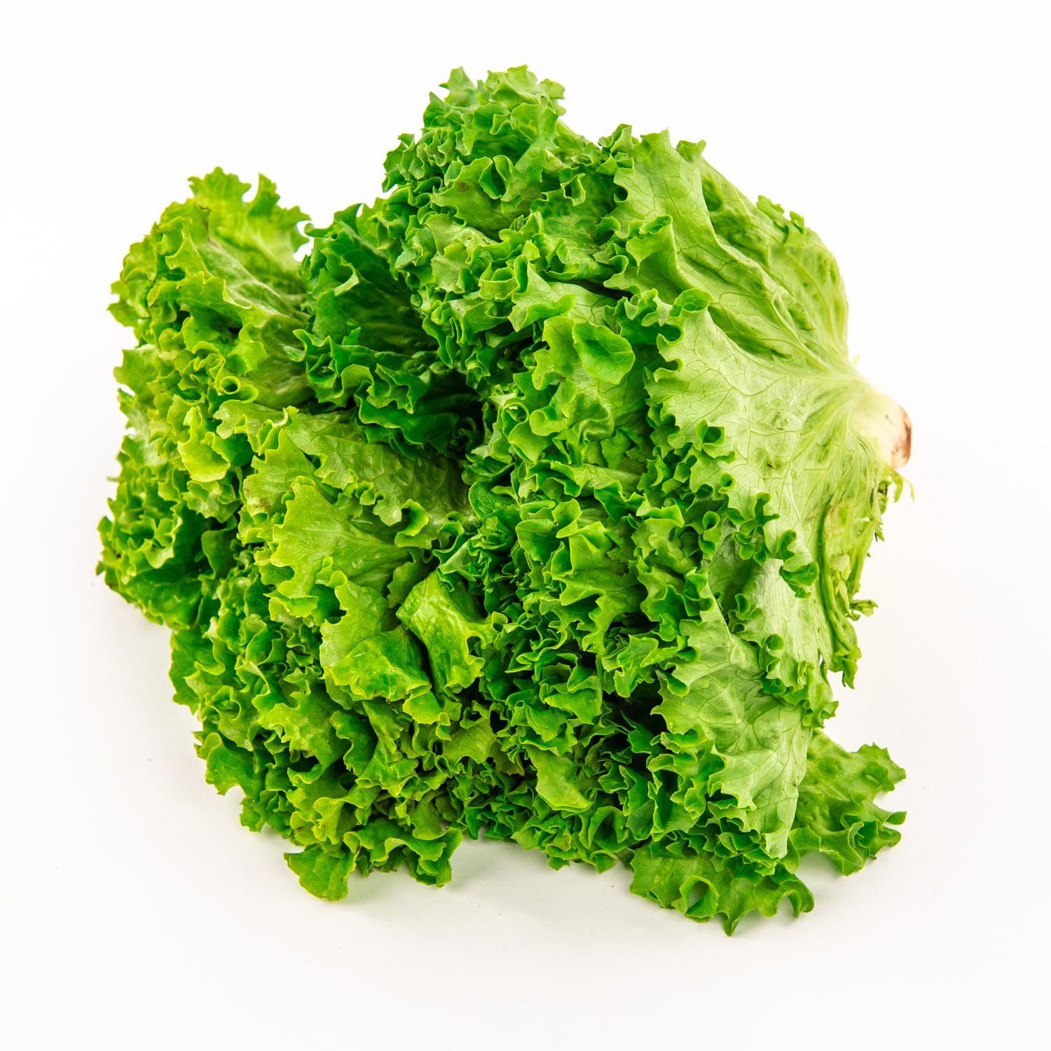 Green Lettuce