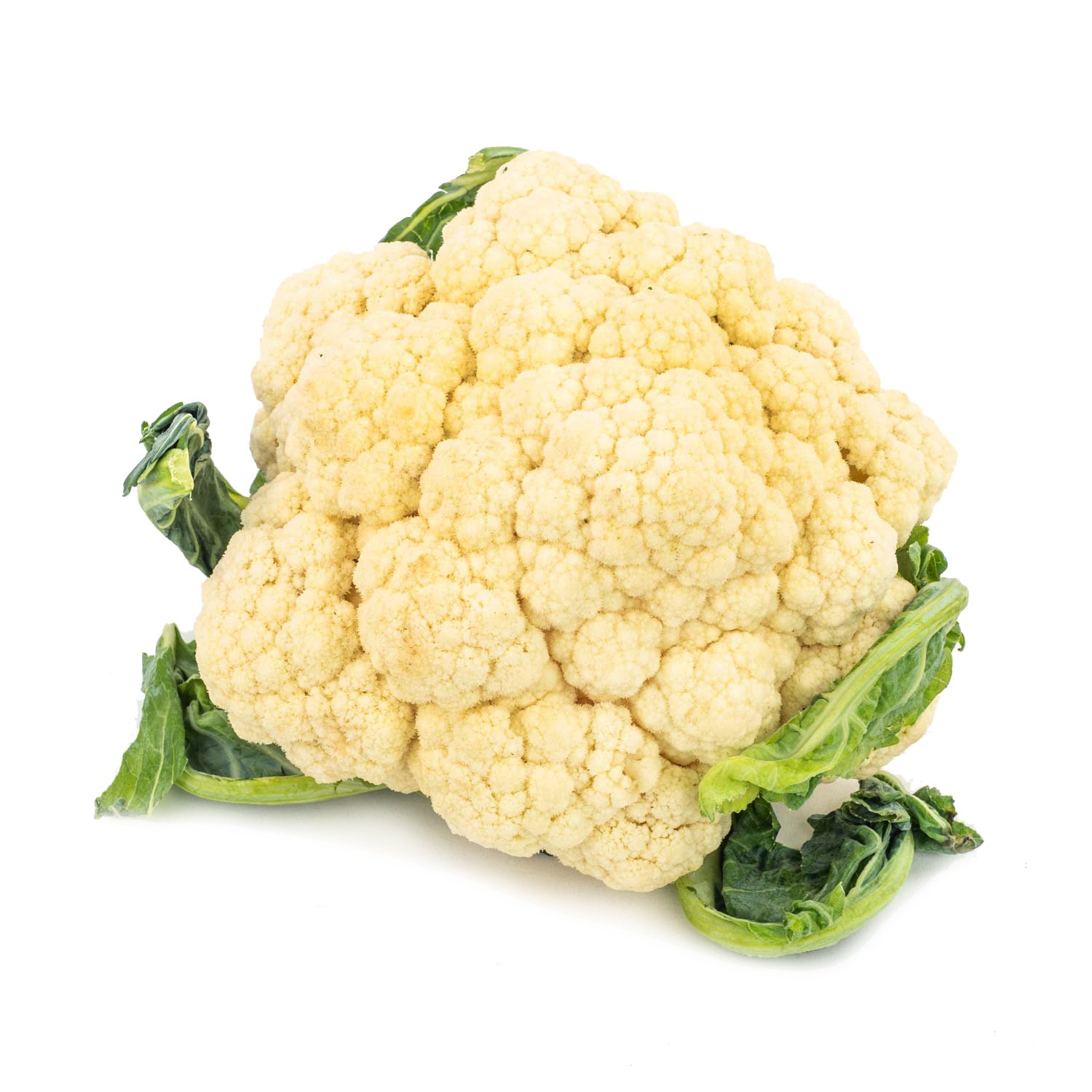 Cauliflower x1