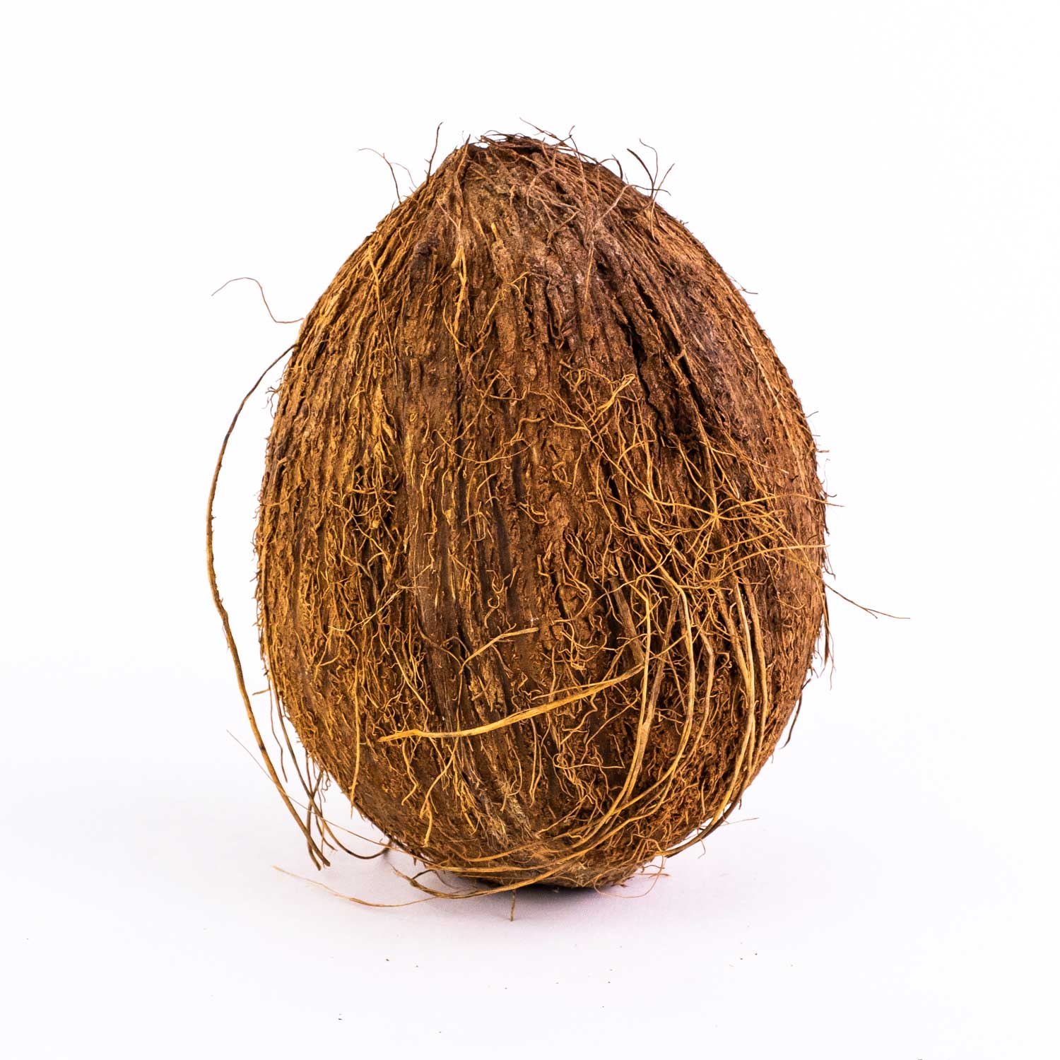Coconut