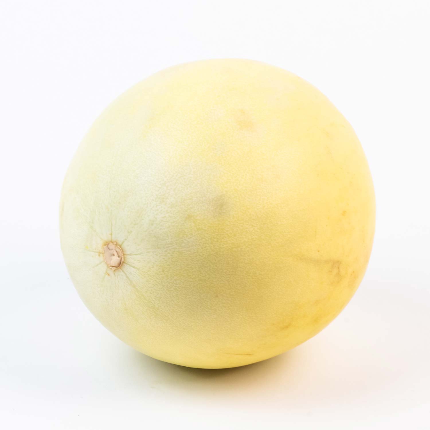 Jumbo Honeydew Melon