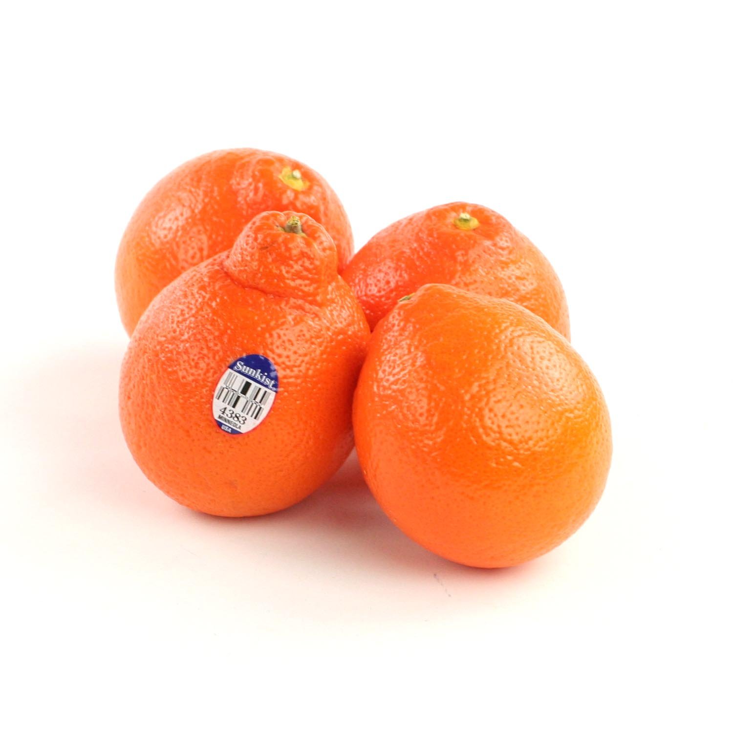 Mineola Tangerine