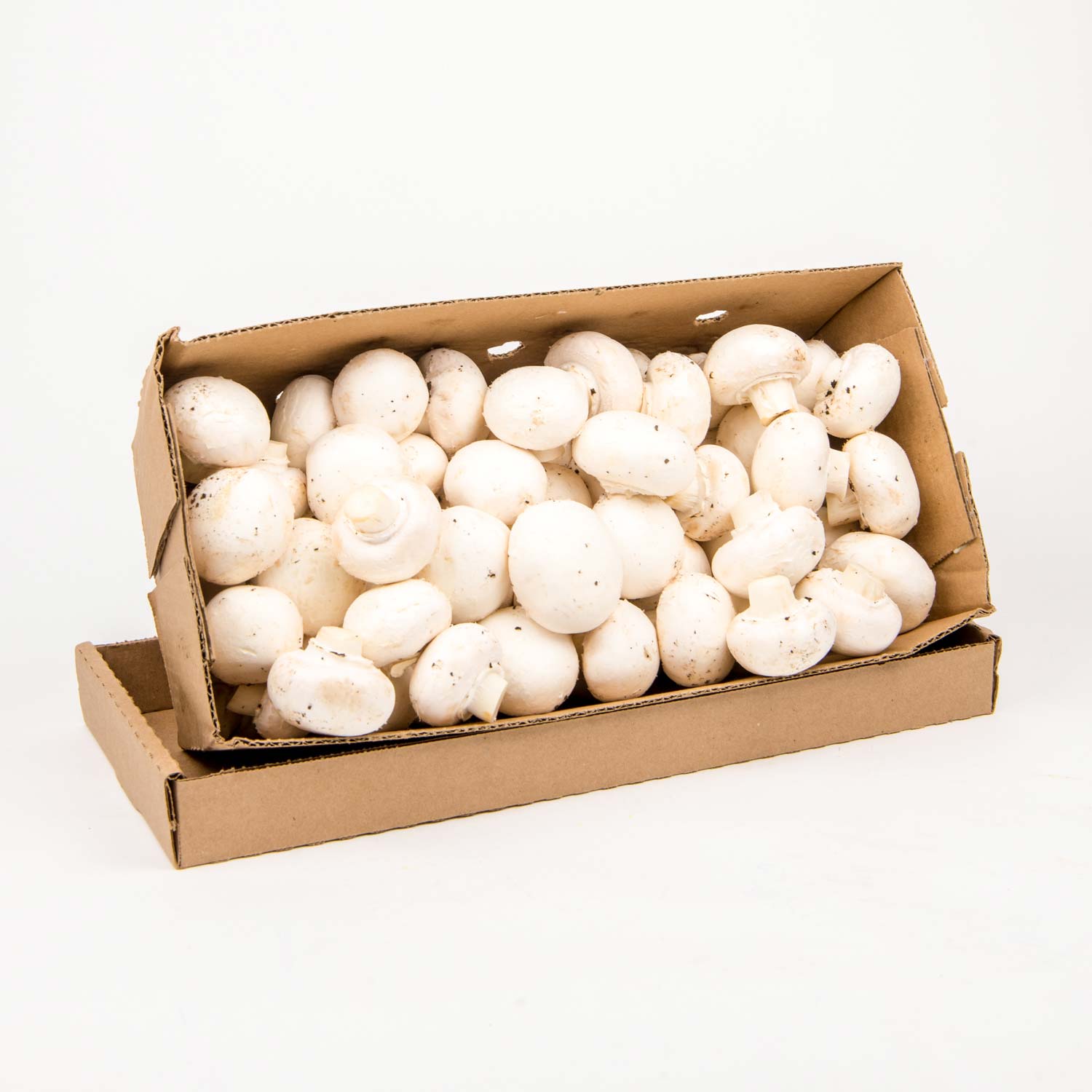 White Mushrooms #1 5 lb