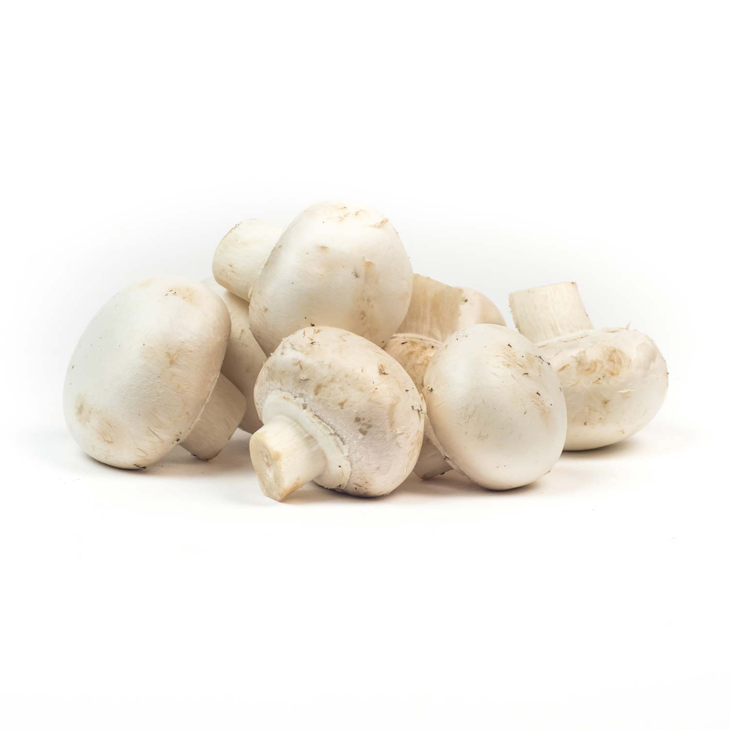 White Mushrooms #1 5 lb-secondary-image