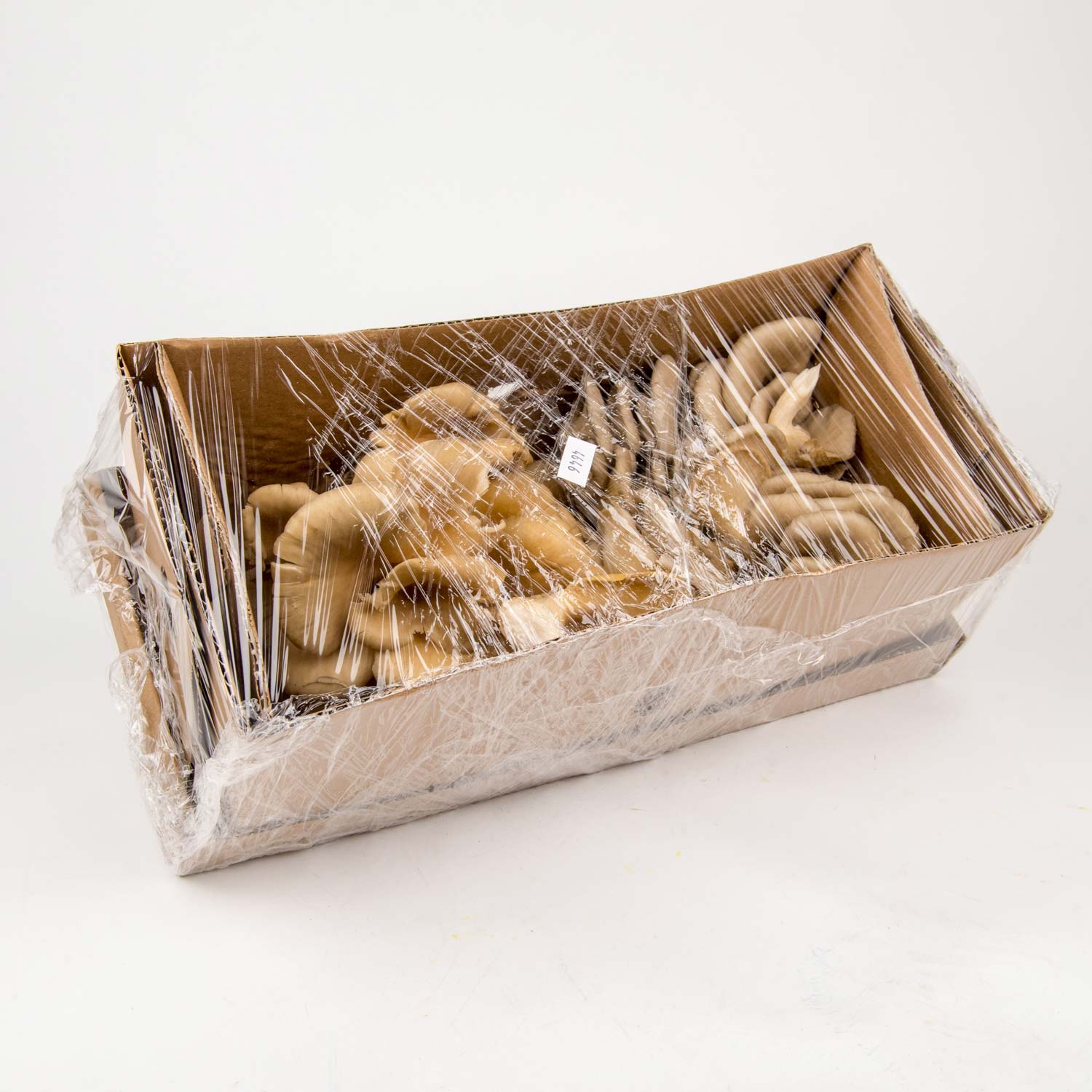 Oyster Mushrooms 2 lb-secondary-image