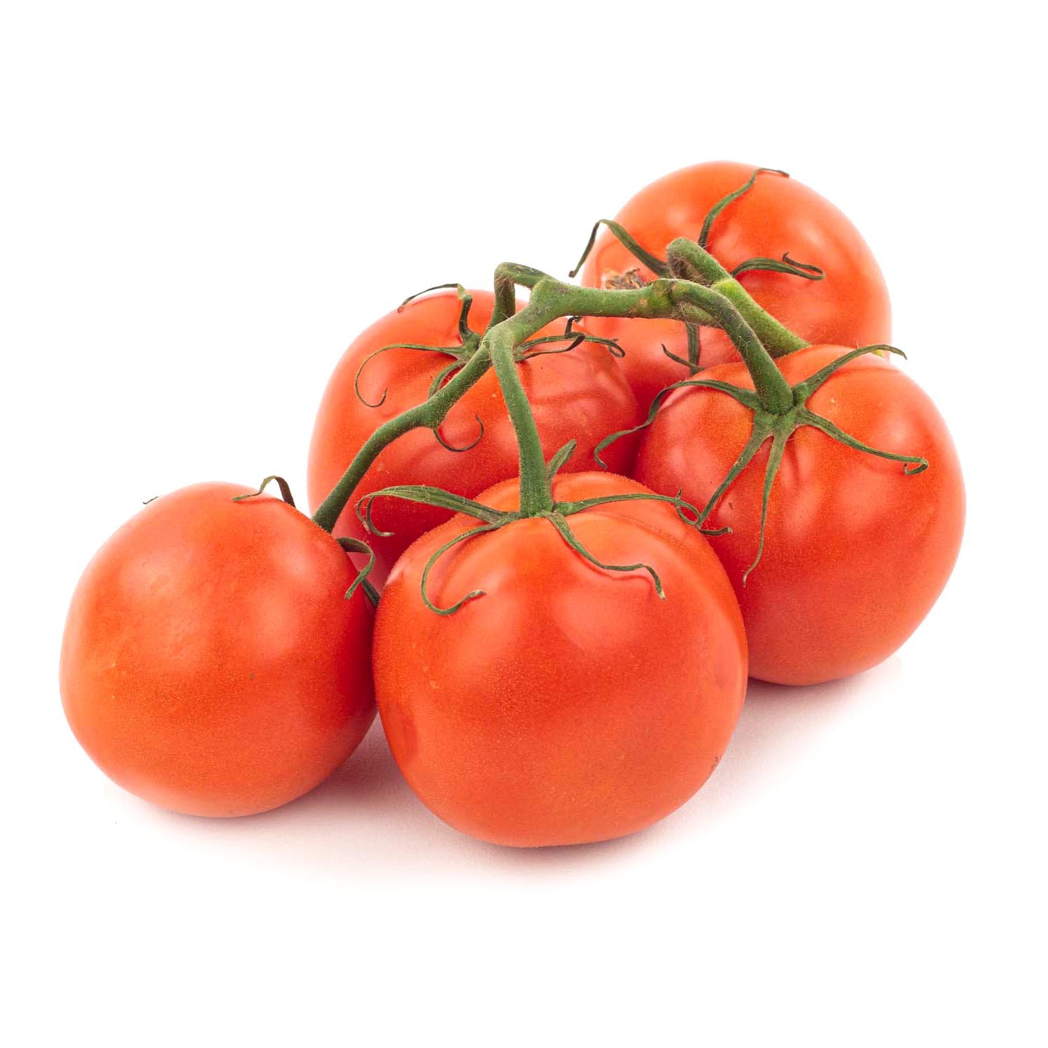 On the Vine Red Tomatoes