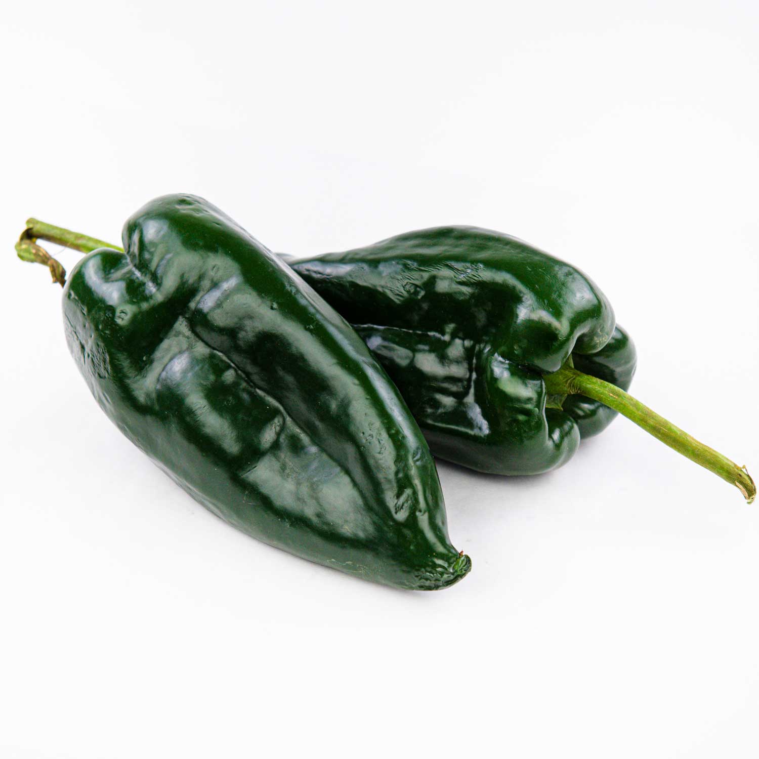 Poblano Hot Pepper