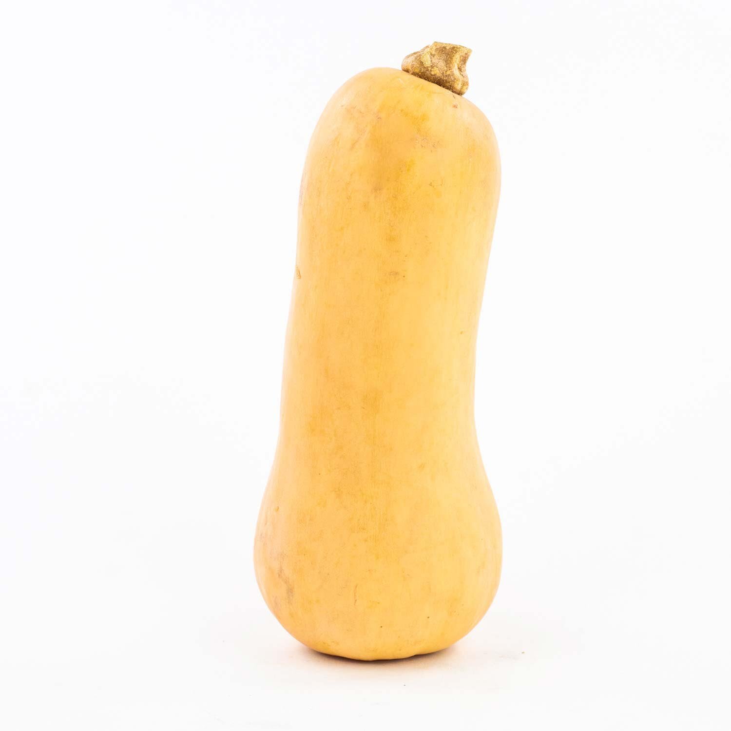 Butternut Squash