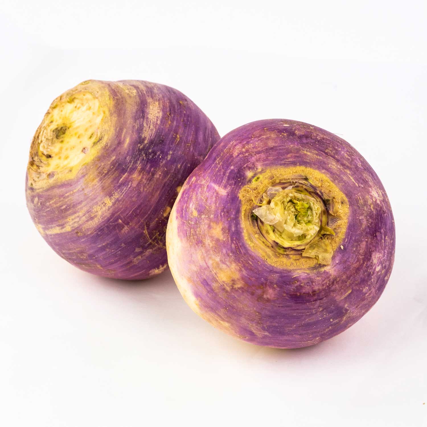 Turnip from Quebec