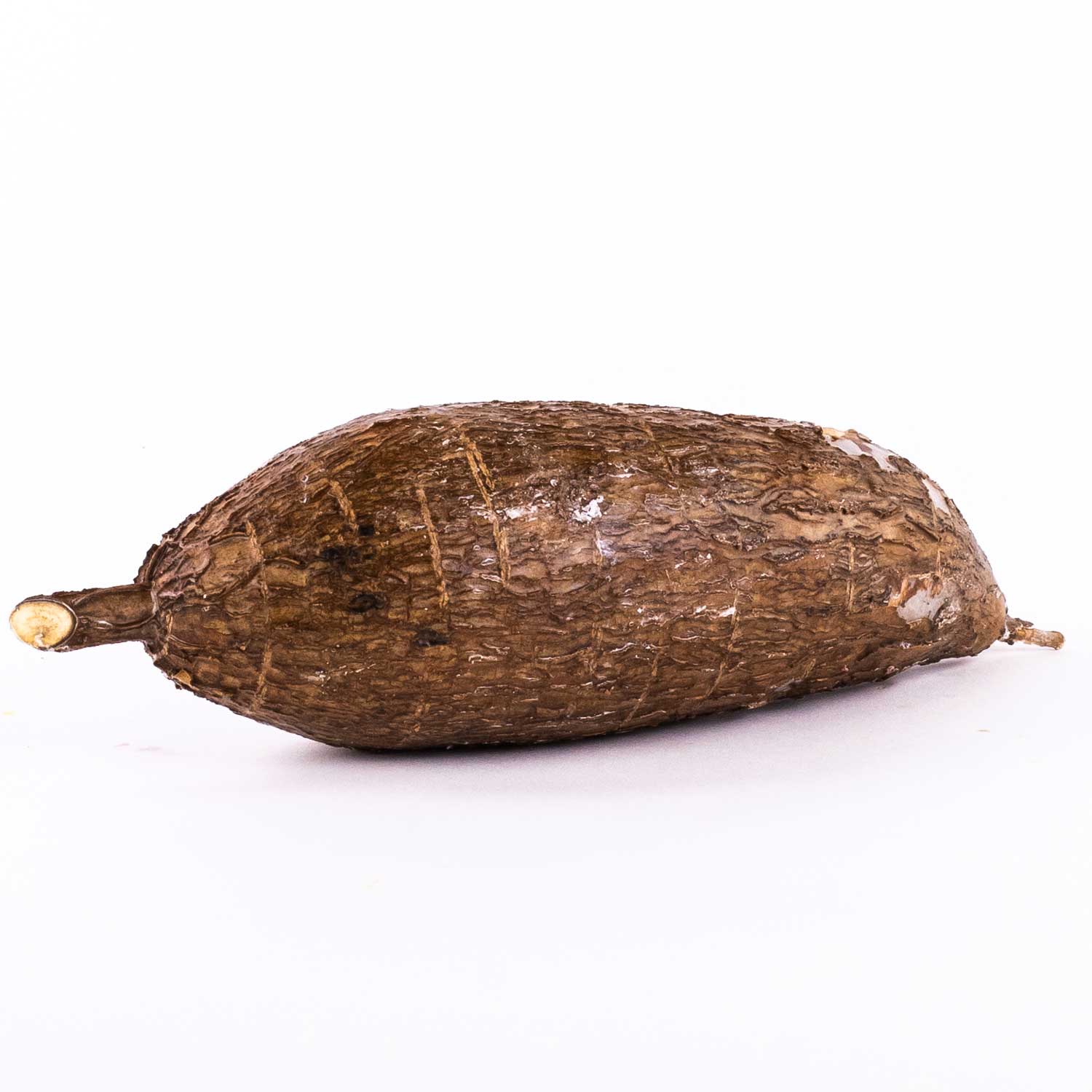 Yucca