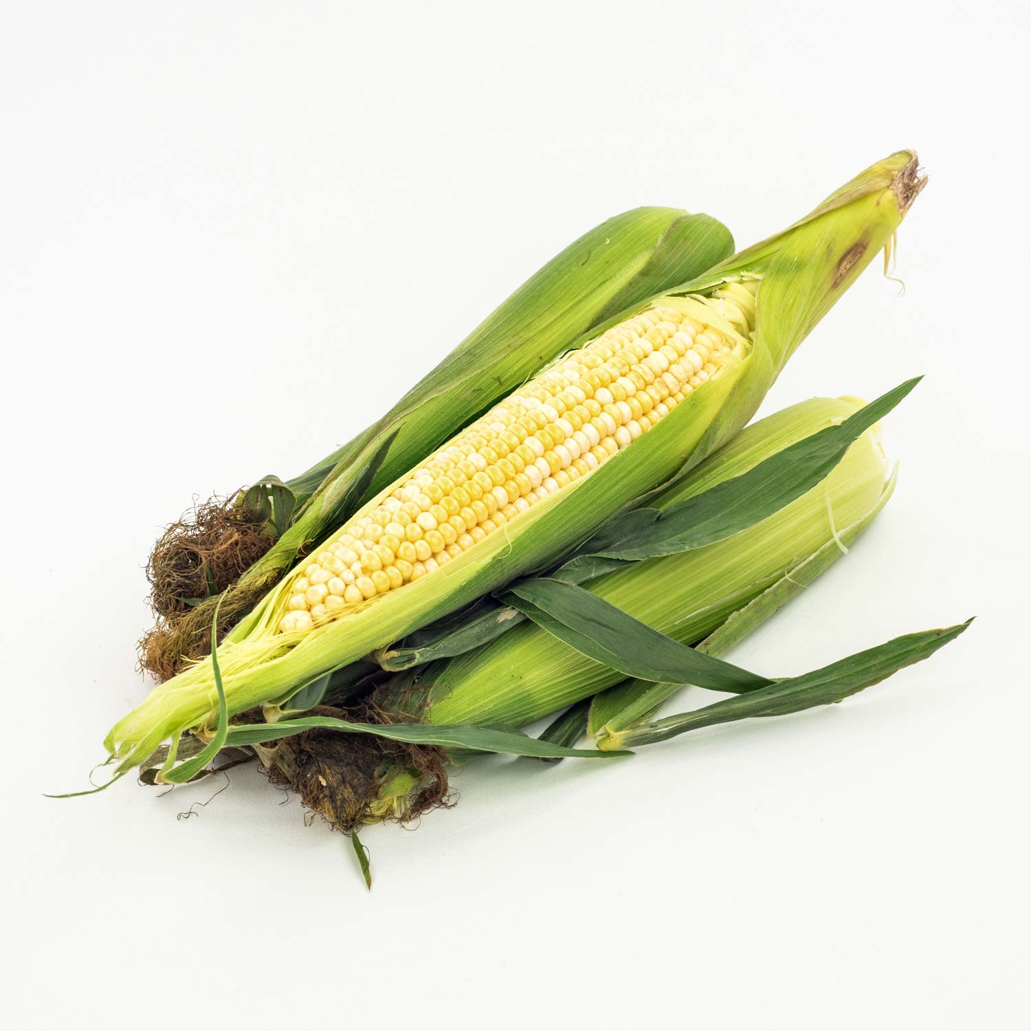 Bicolour Corn x6