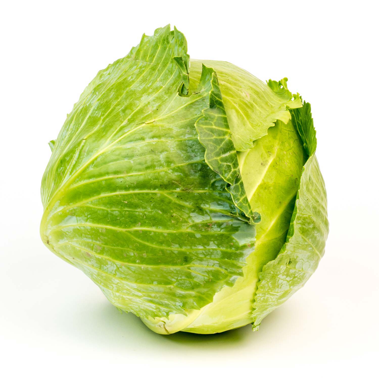 Green Cabbage 45 lb