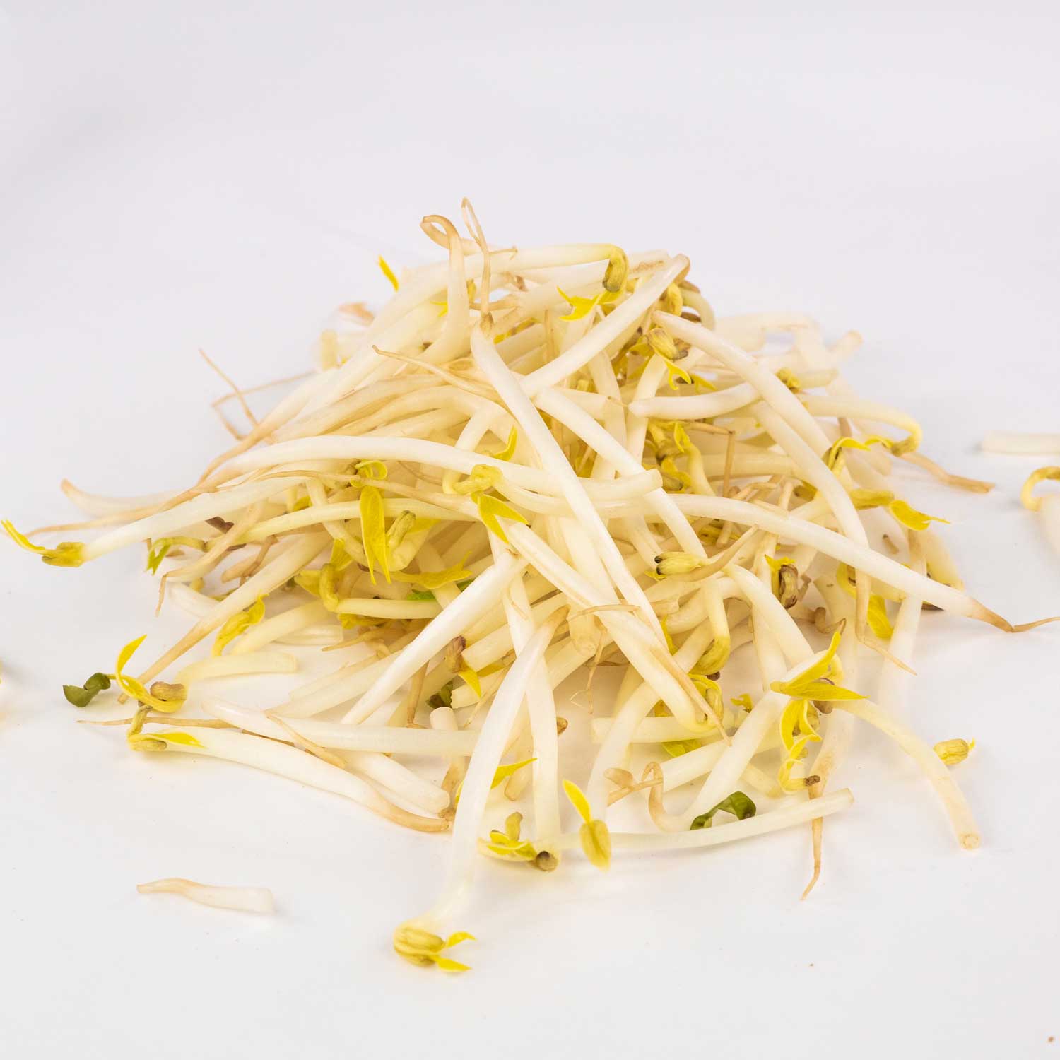 Bean Sprouts 30 lb