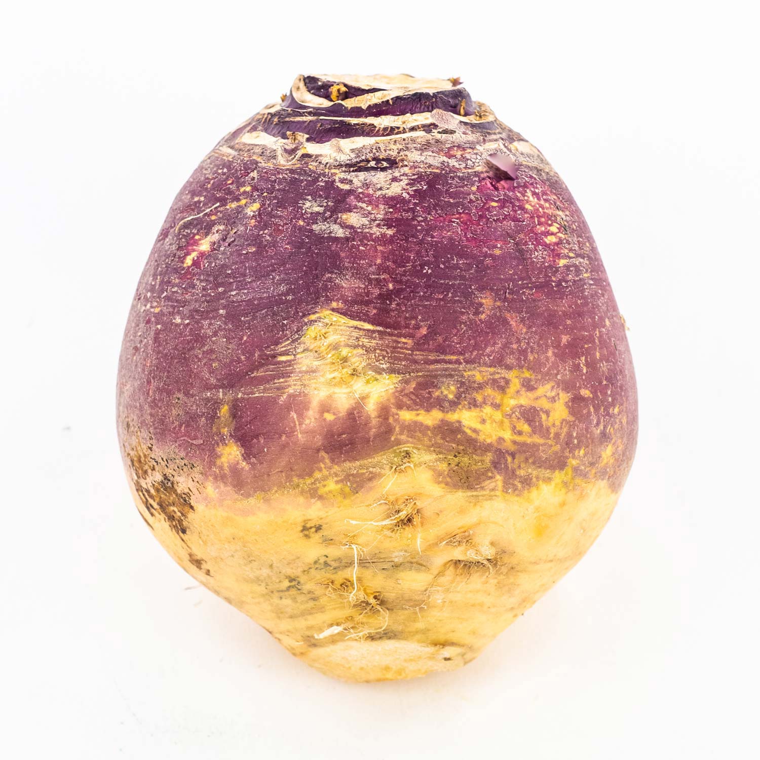Turnips from Quebec 50 lb