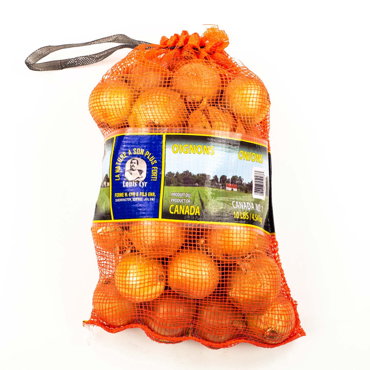 Medium Onions from Quebec 10 lb