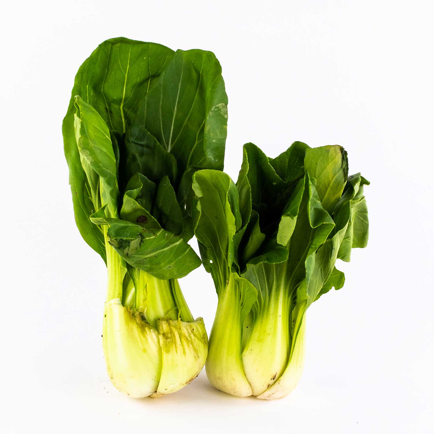 Bok Choy Cabbage 25 lb