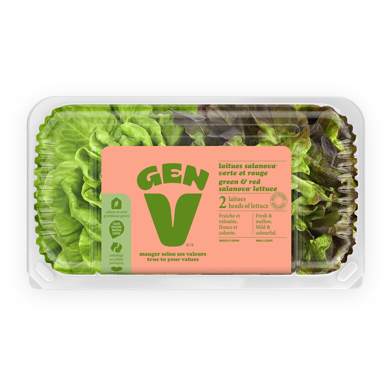 Mirabel Flower Lettuce x2-secondary-image