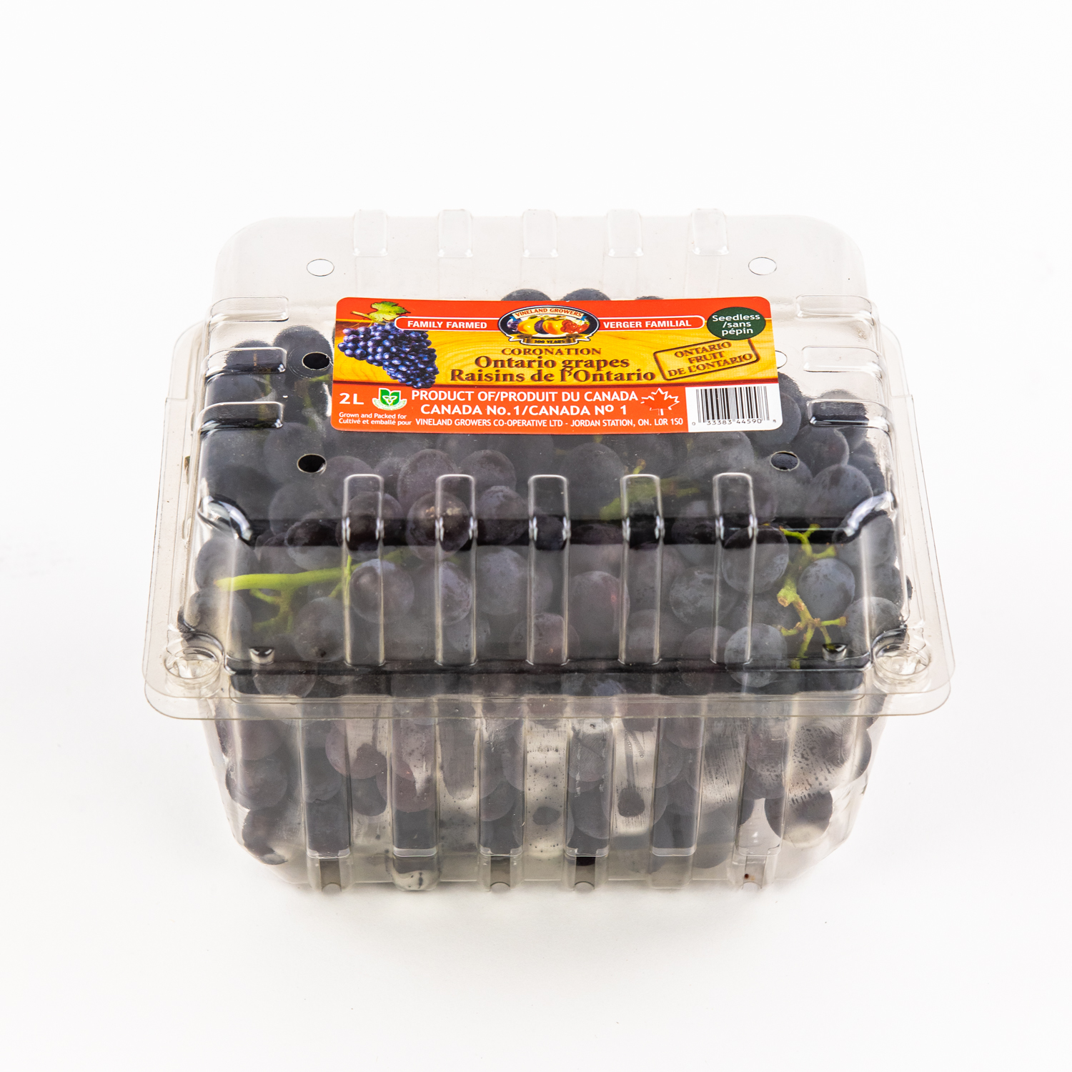 Blue Grape Basket 2 L