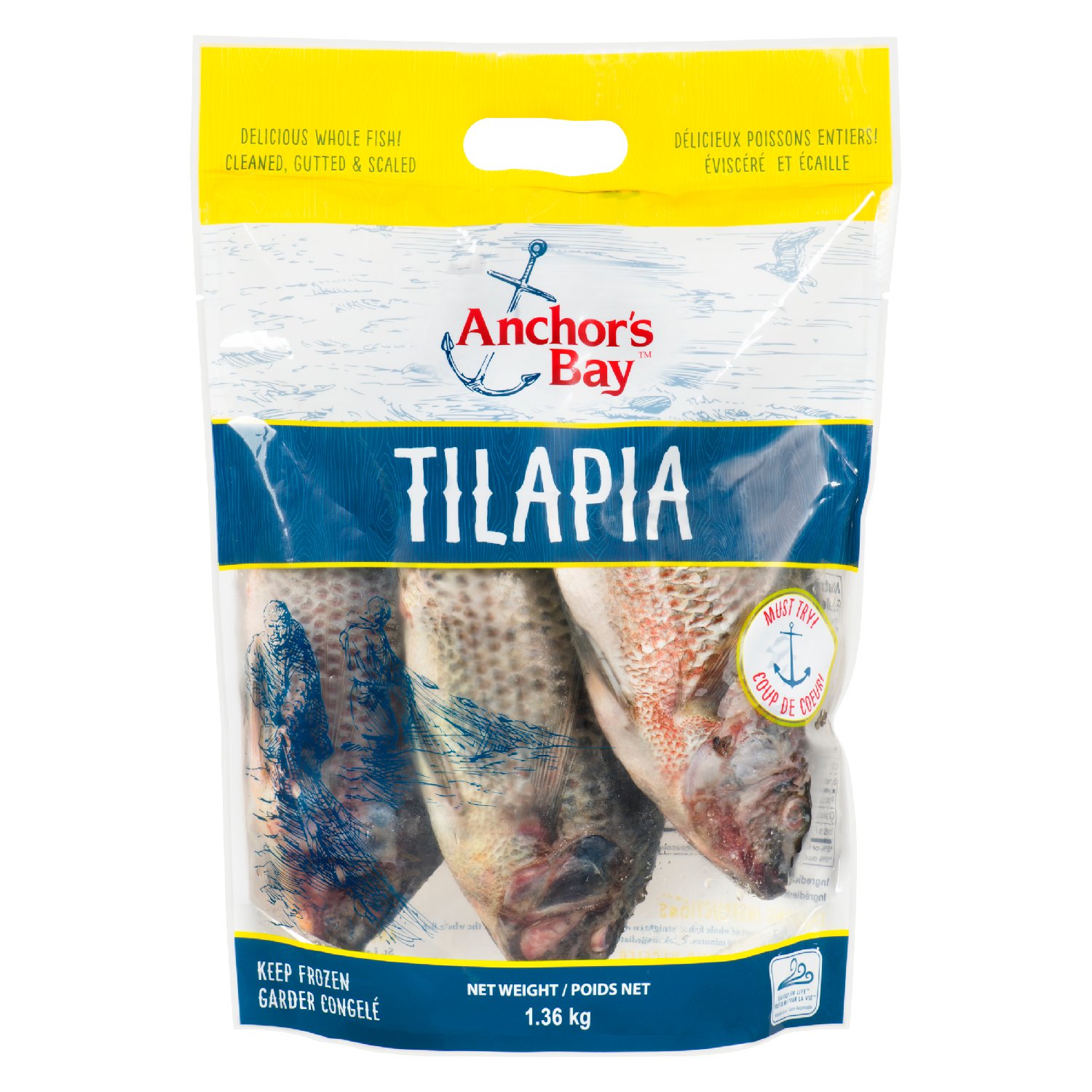 Frozen Cleaned Whole Tilapia 350/550