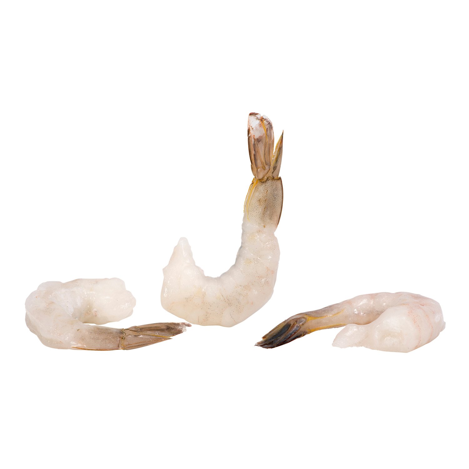 Frozen Raw Shrimps 16/20-secondary-image