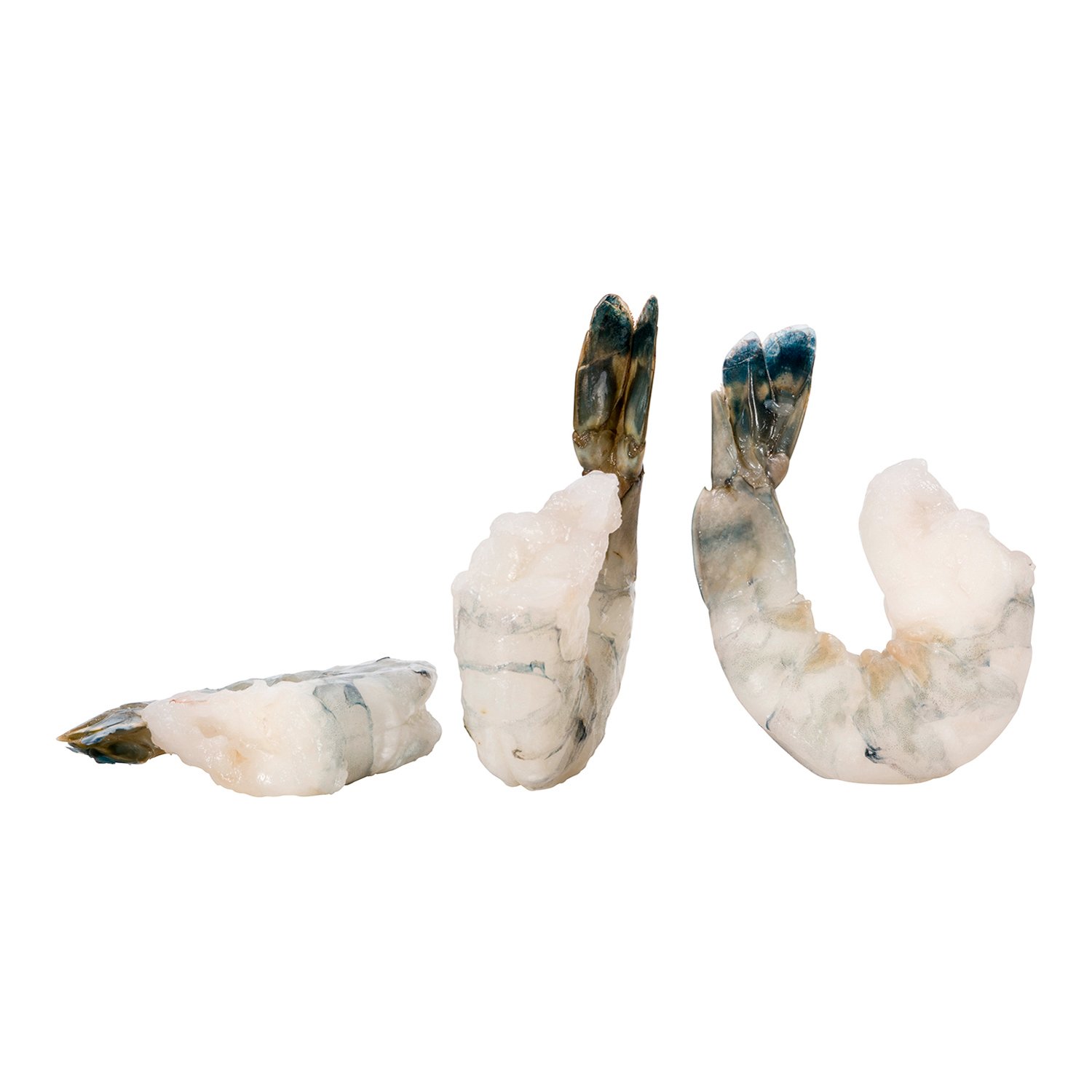 Frozen Black Tiger Shrimps 6 to 8 per lb 3 lb