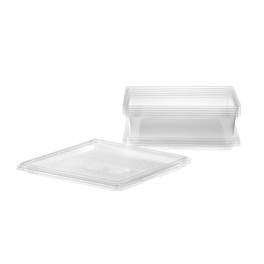Transparent Festive Tray 12