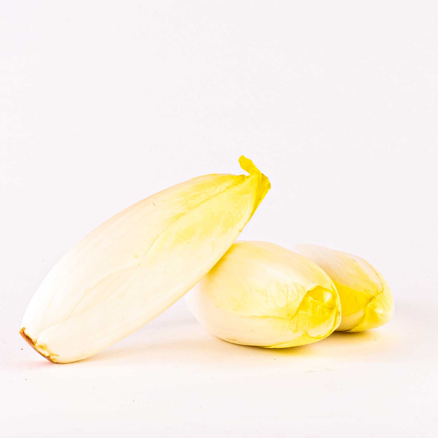 Chicory 2 un