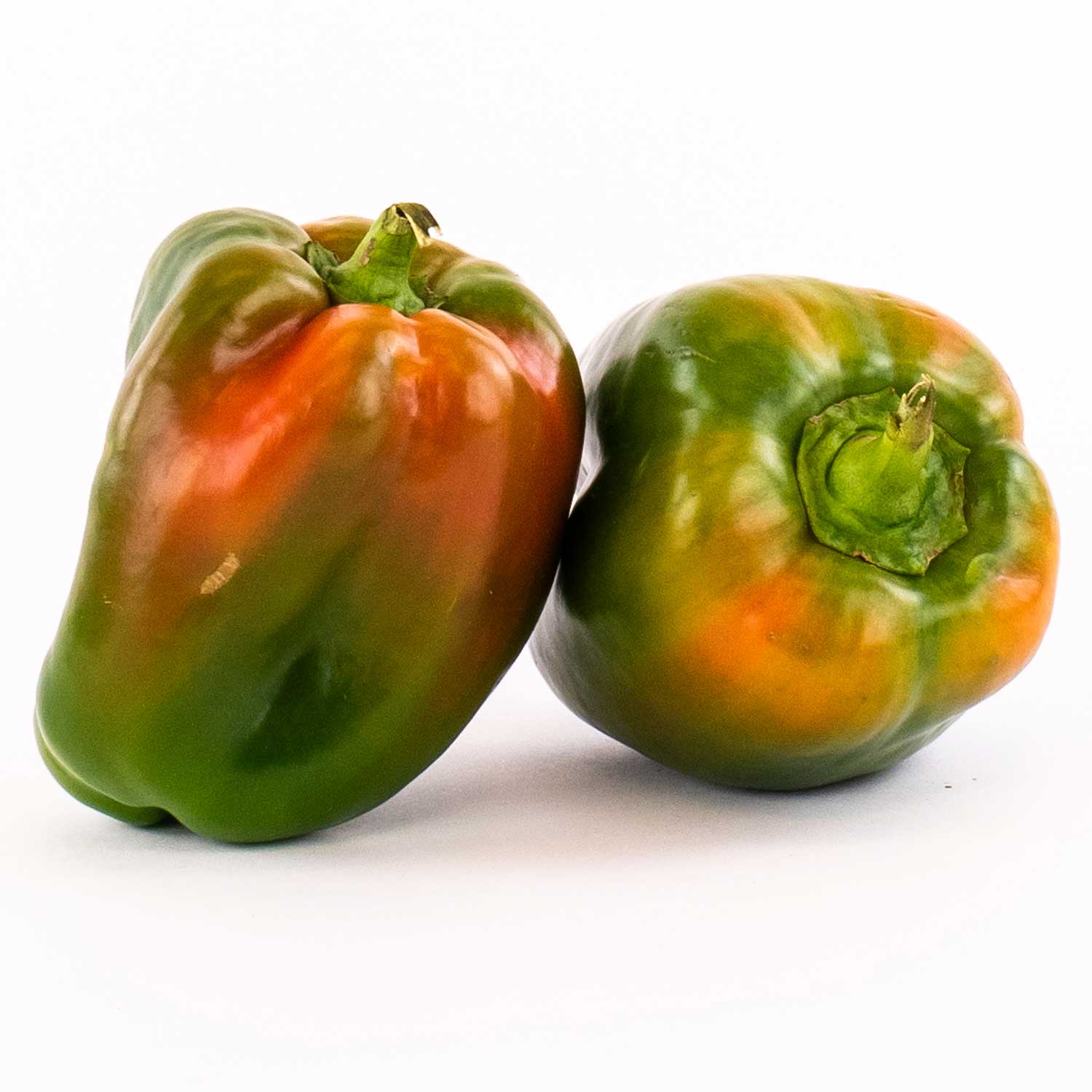 Suntan Bell Pepper 3 lb