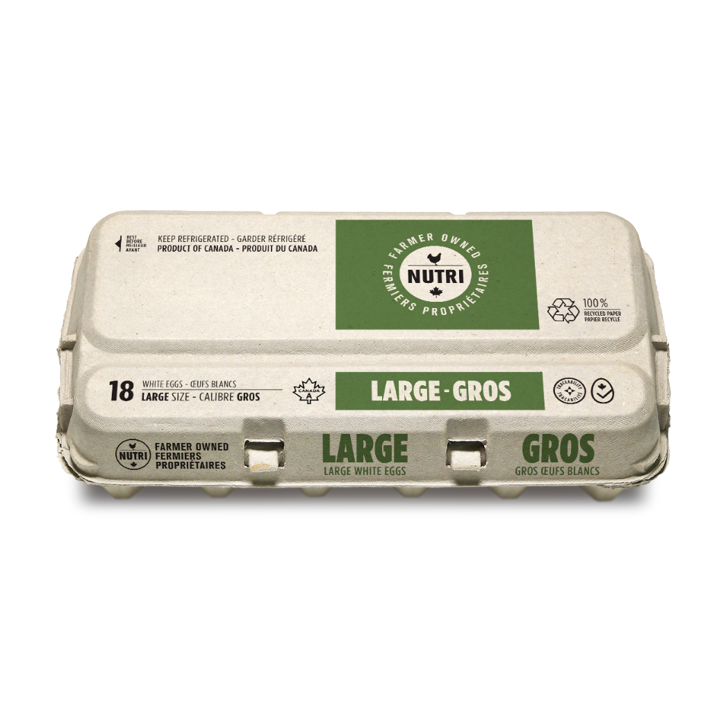 Large White Egg 18 un