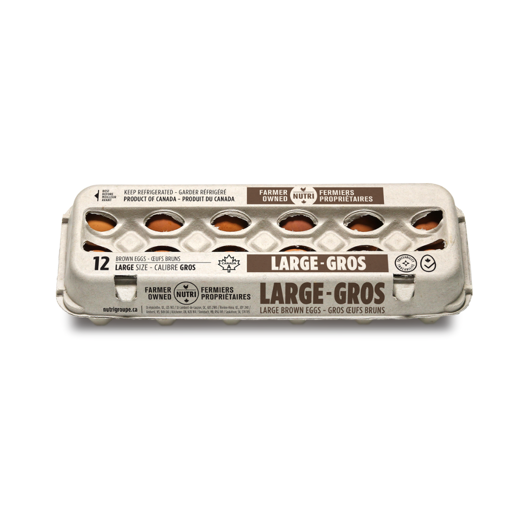 Large Brown Egg 12 un