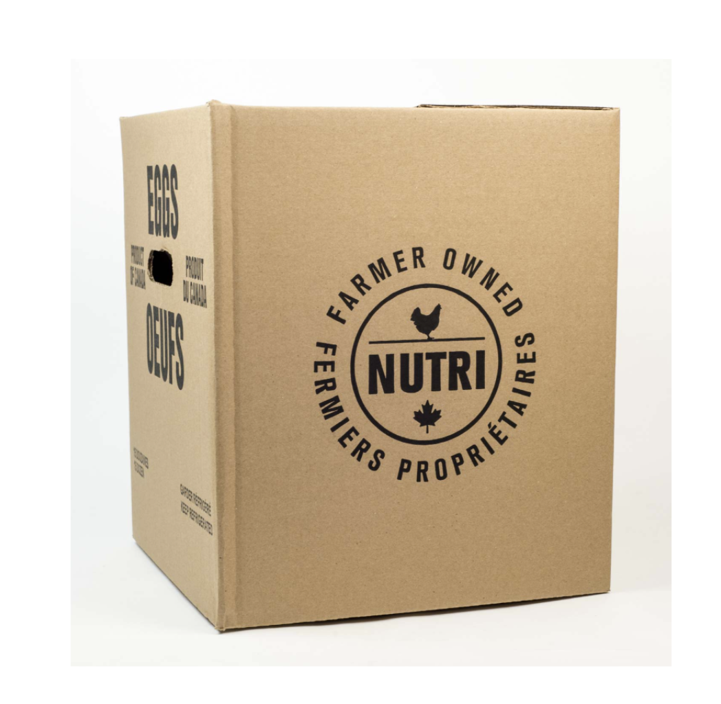 Bulk Extra Large White Egg 15 x 12 un