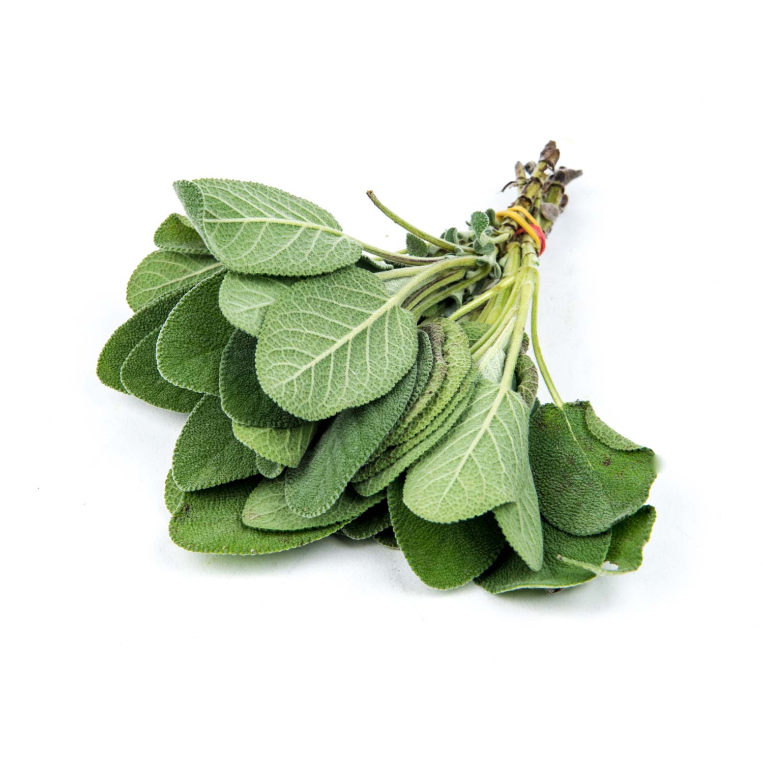 Bulk Sage 1 kg