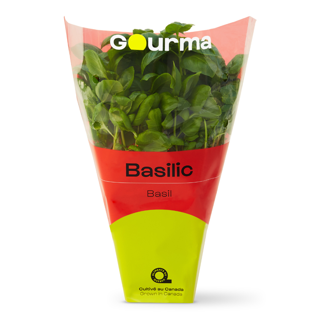 Basil