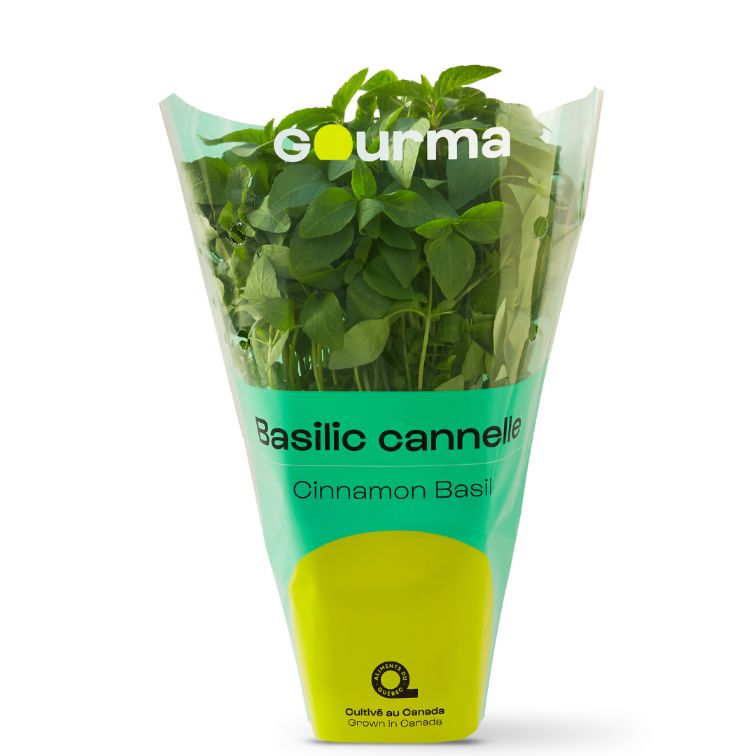 Basil Cinnamon