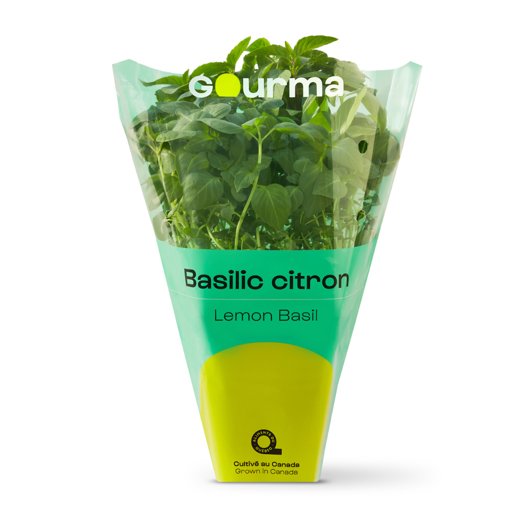 Lemon Basil