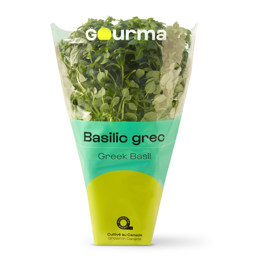 Greek basil