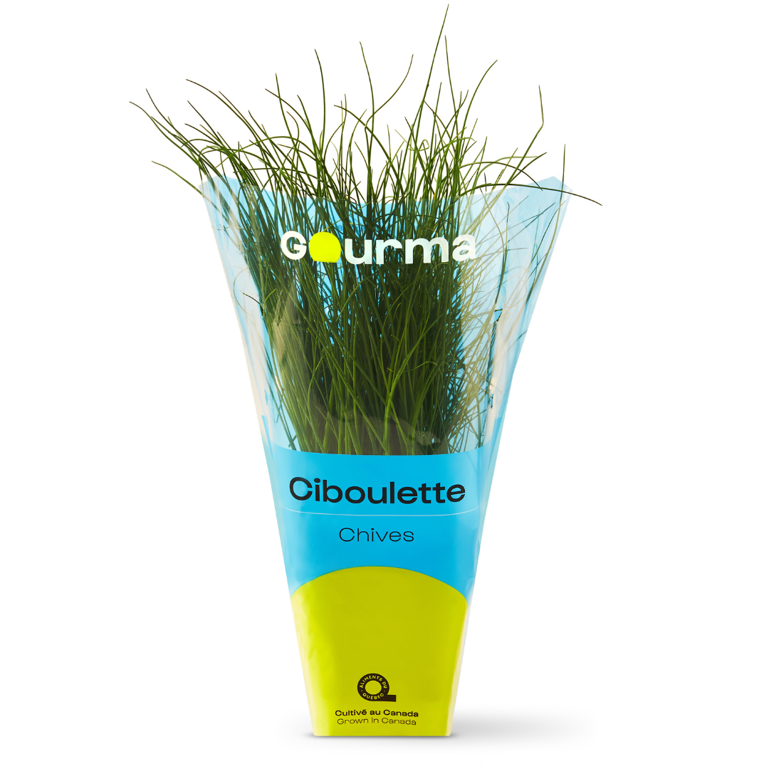 Chives