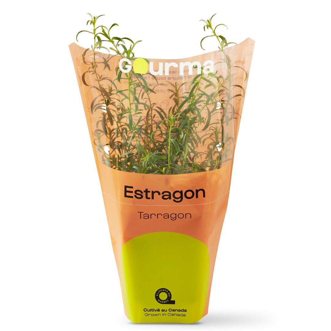 Tarragon