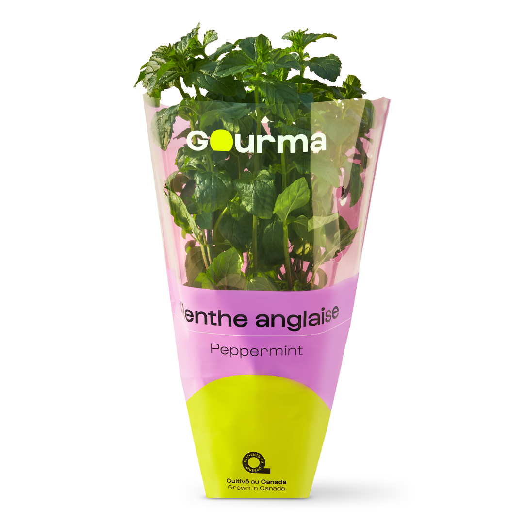 English Mint