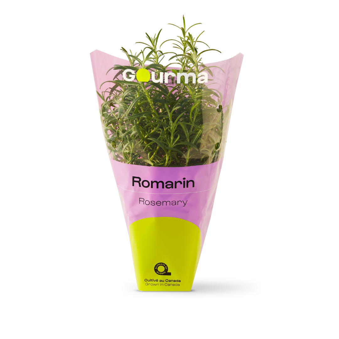 Romarin