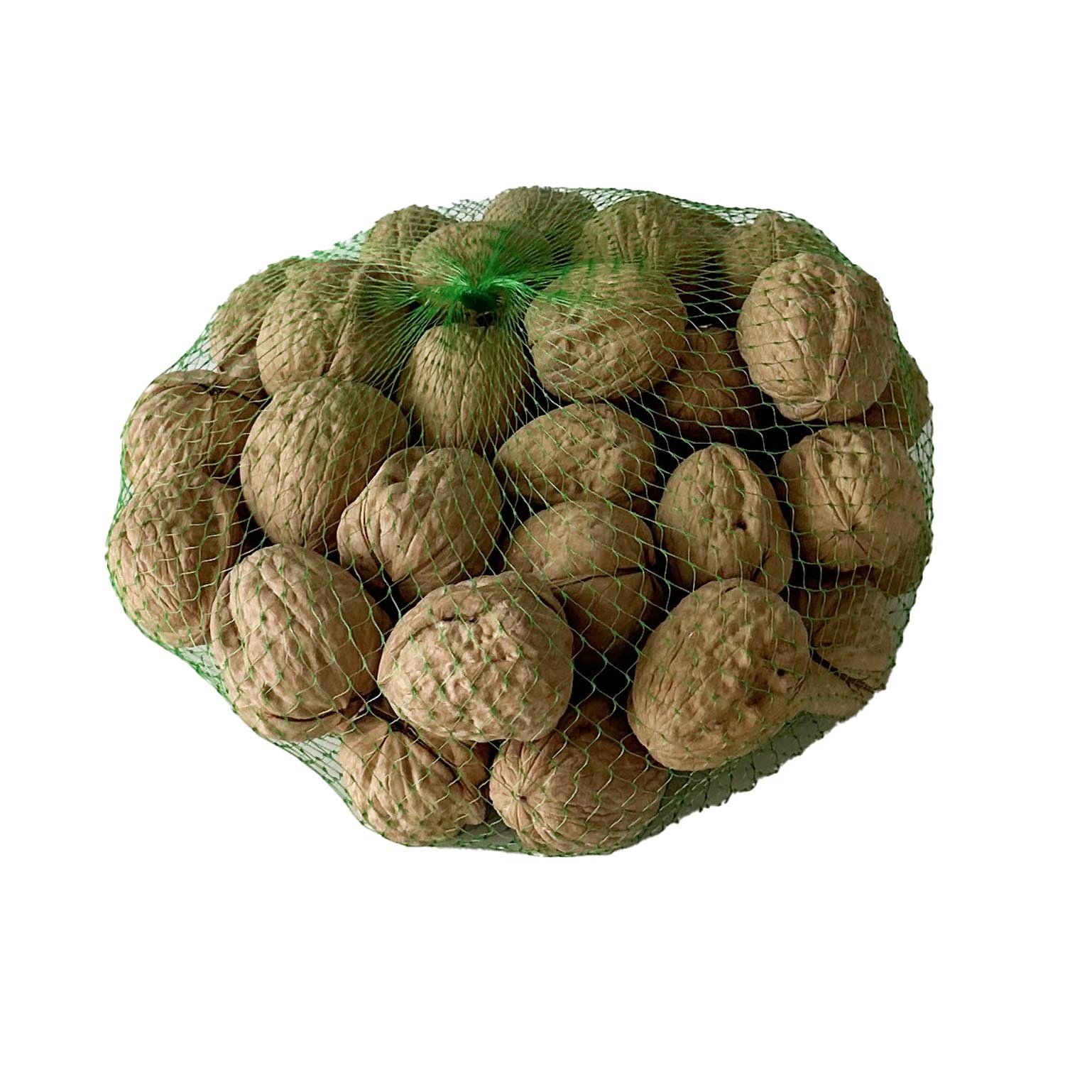 Walnut in Shell