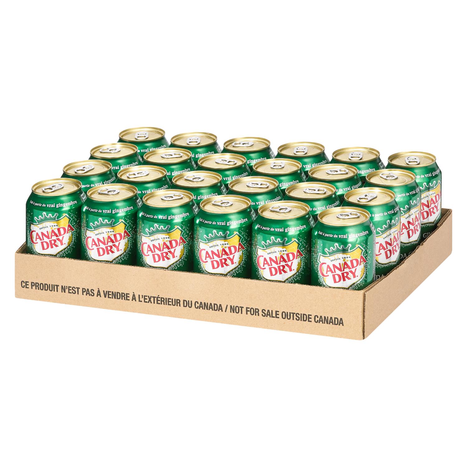 Ginger Ale Soft Drink 355 ml x24