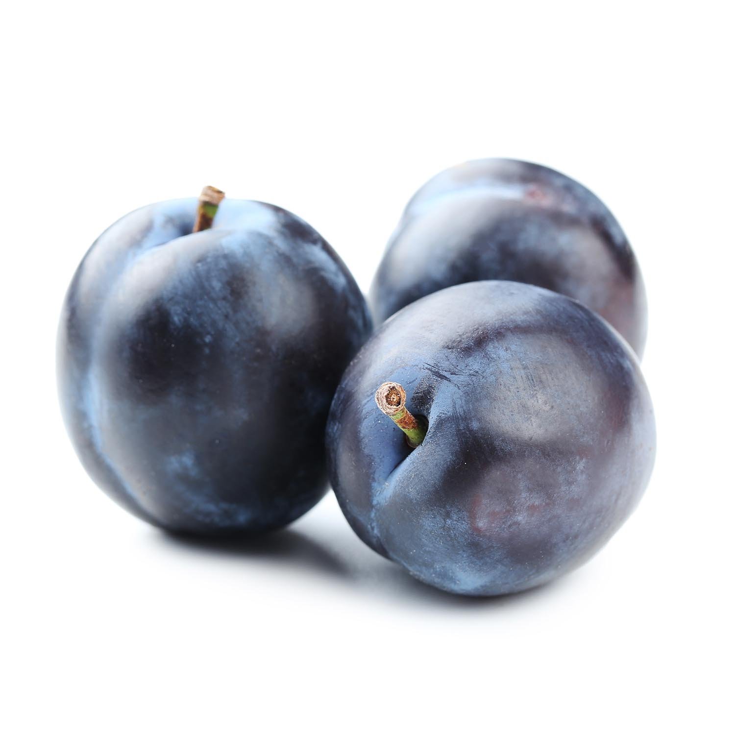 Blue Plum 1.5lb