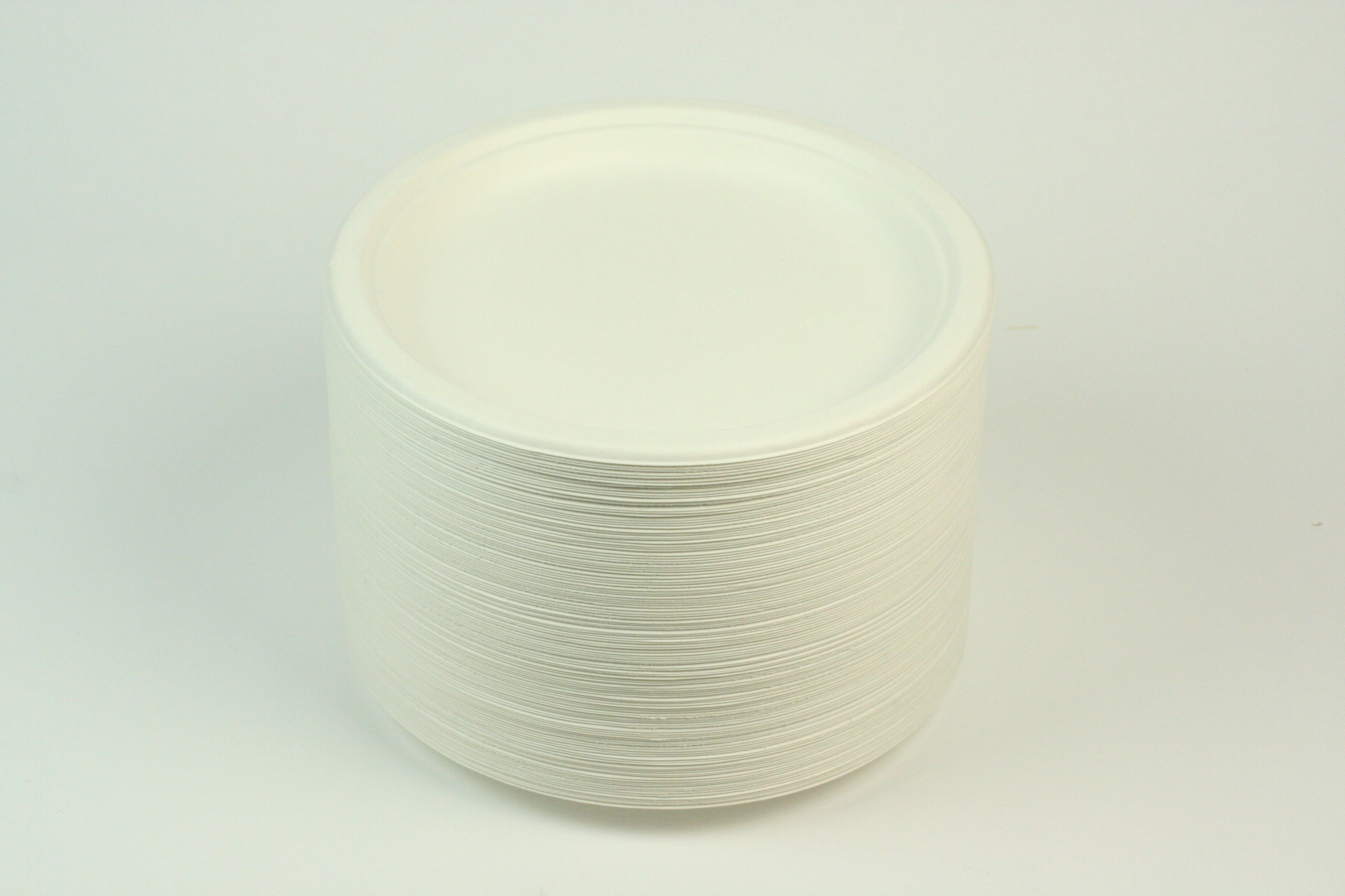 Bagasse Plate 7