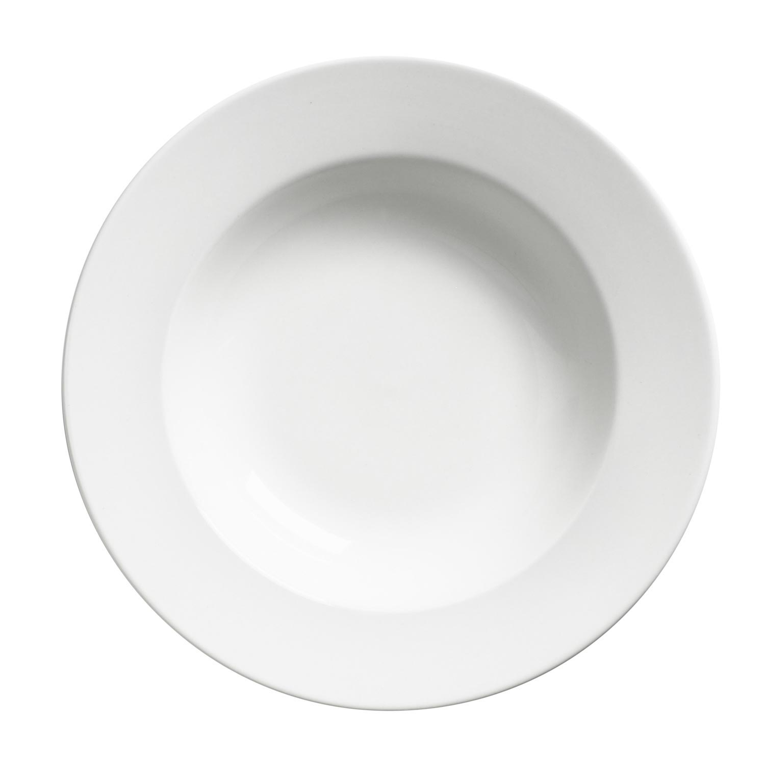Palm Porcelain Rim Soup Plate 9'' / 23 cm