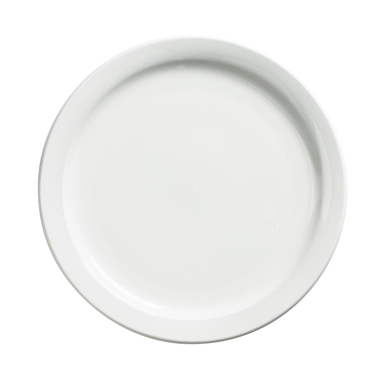 Palm Porcelain Dinner Plate 10.4
